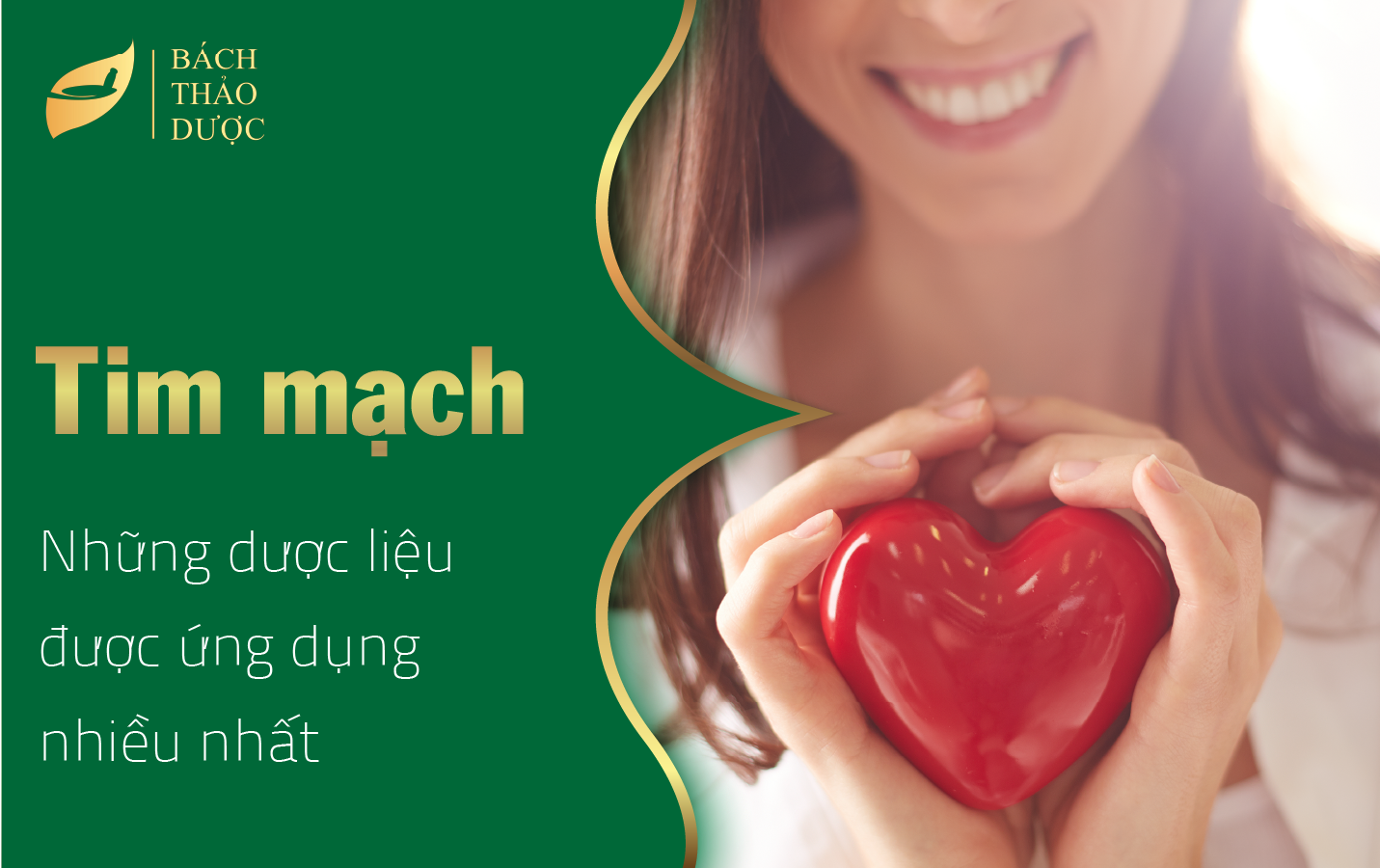 Những dược liệu phổ biến nhất trong các sản phẩm tim mạch