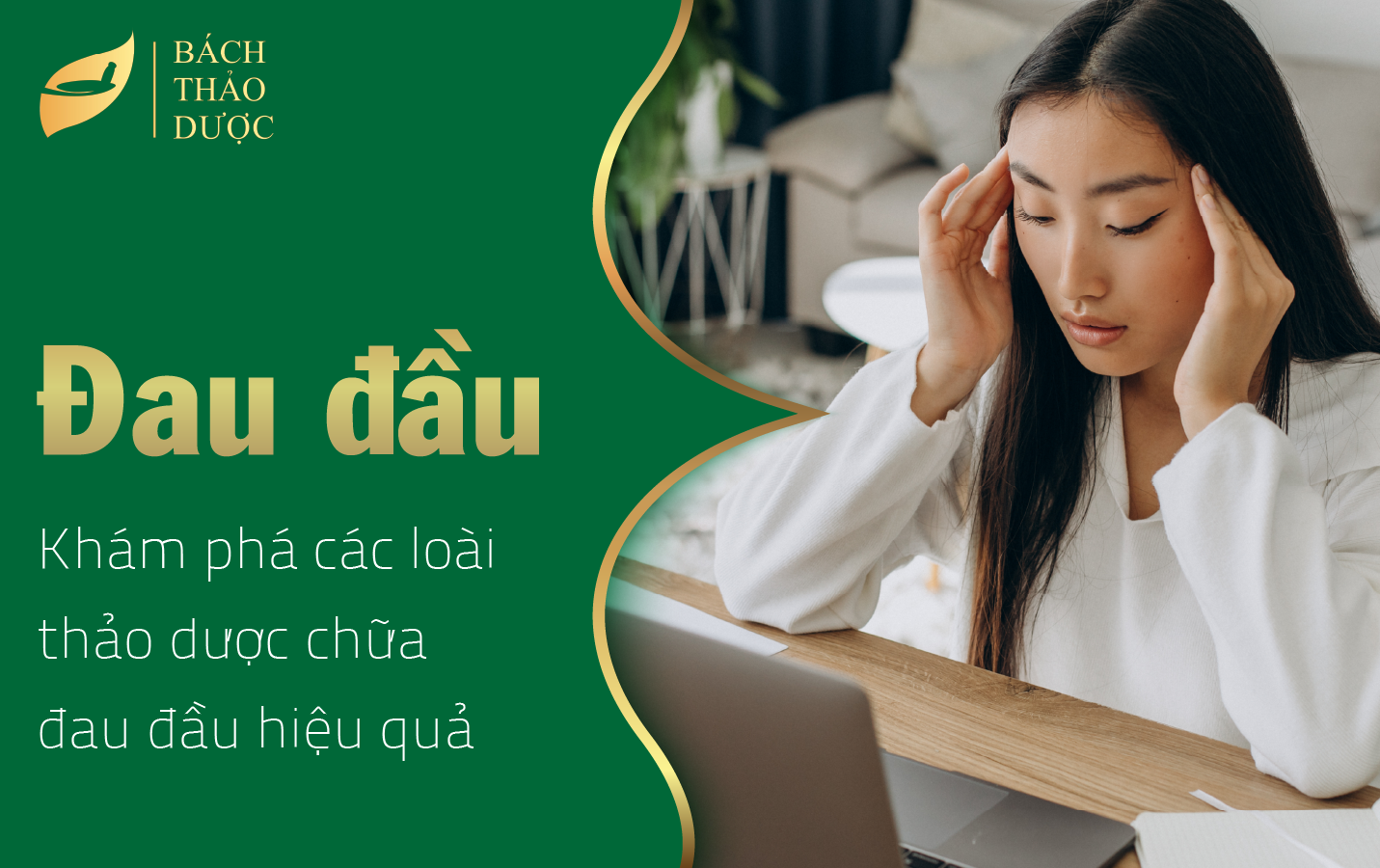 Khám phá các loài thảo dược chữa đau đầu hiệu quả