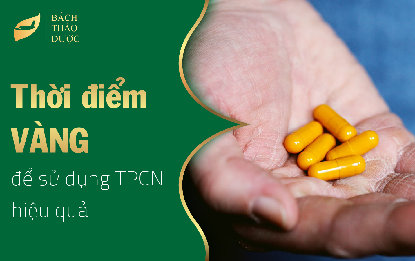 Chọn thời điểm vàng để sử dụng TPCN hiệu quả