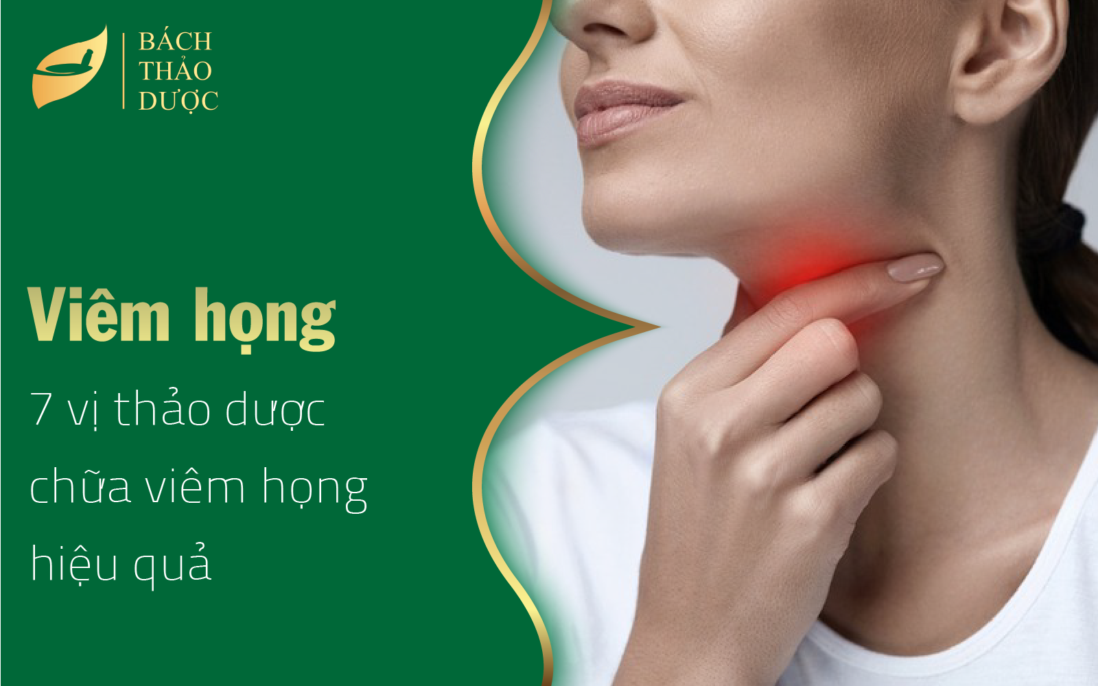 7 vị thảo dược giúp chữa viêm họng hiệu quả