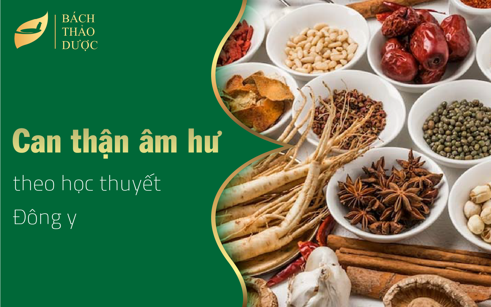 Chứng Can thận âm hư theo học thuyết Đông y