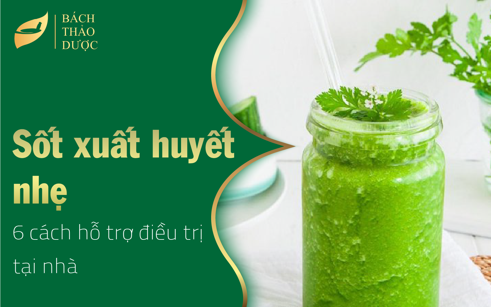 6 cách hỗ trợ điều trị sốt xuất huyết nhẹ tại nhà