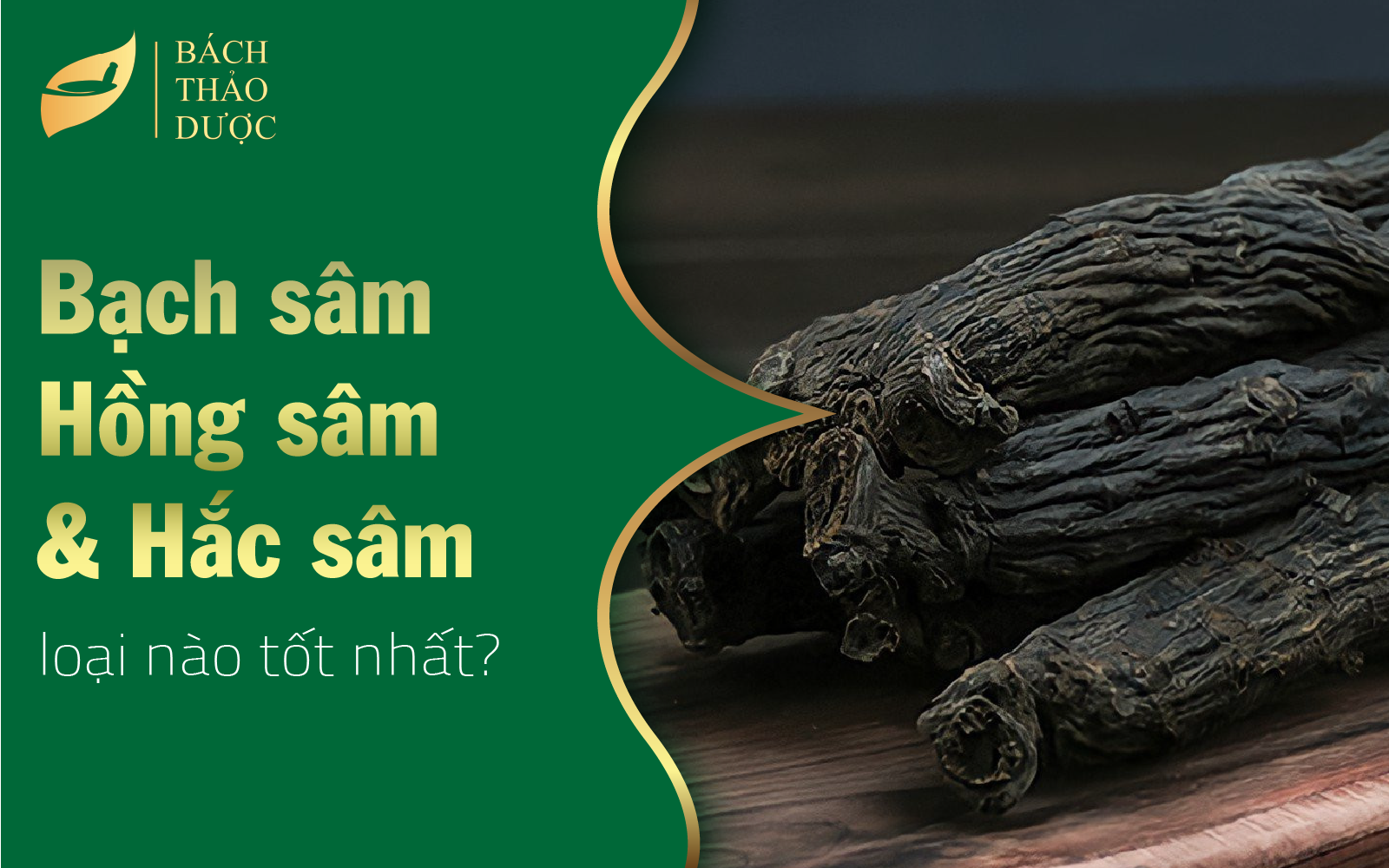 Bạch sâm, Hồng sâm và Hắc sâm loại nào tốt hơn?