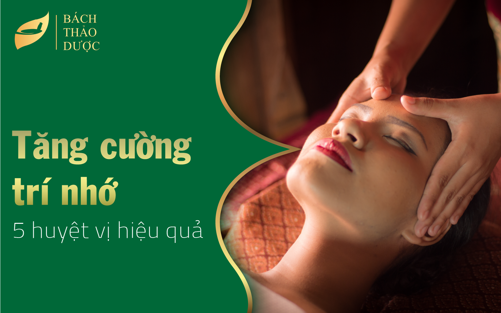 5 huyệt vị giúp học sinh, người cao tuổi tăng cường trí nhớ