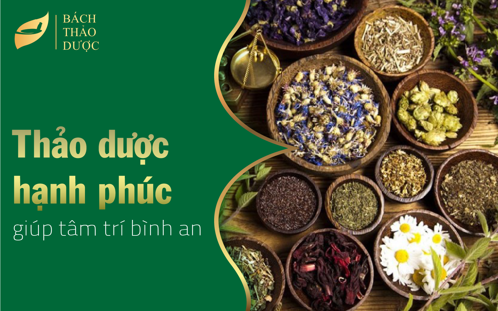 5 loại thảo mộc hạnh phúc giúp tâm trí bình an