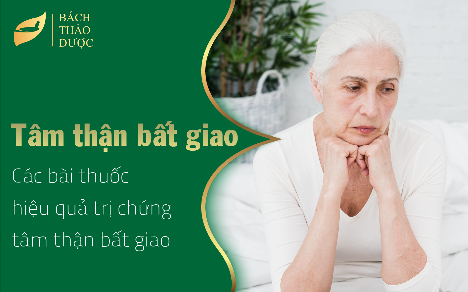 Các bài thuốc trị chứng tâm thận bất giao