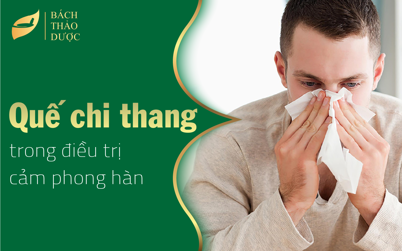 Quế chi thang trong điều trị cảm phong hàn