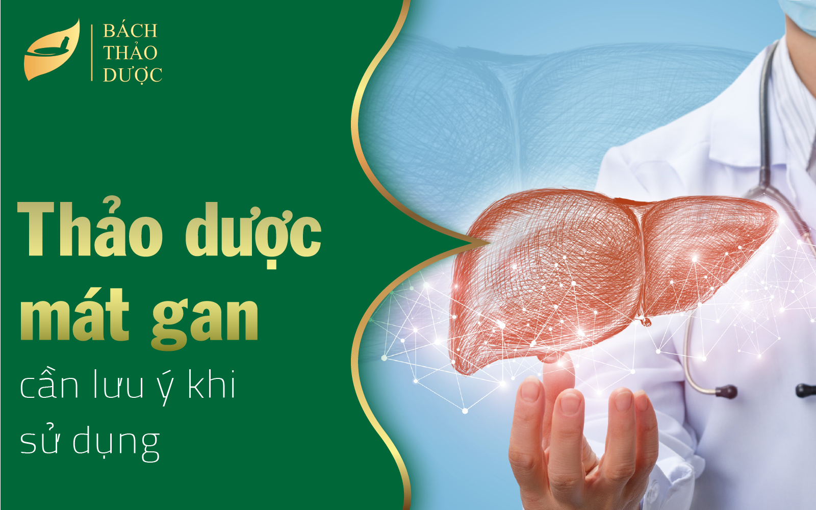 Lưu ý khi sử dụng các thảo dược mát gan