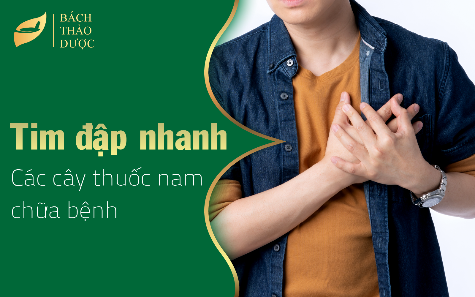 Các cây thuốc nam chữa bệnh tim đập nhanh