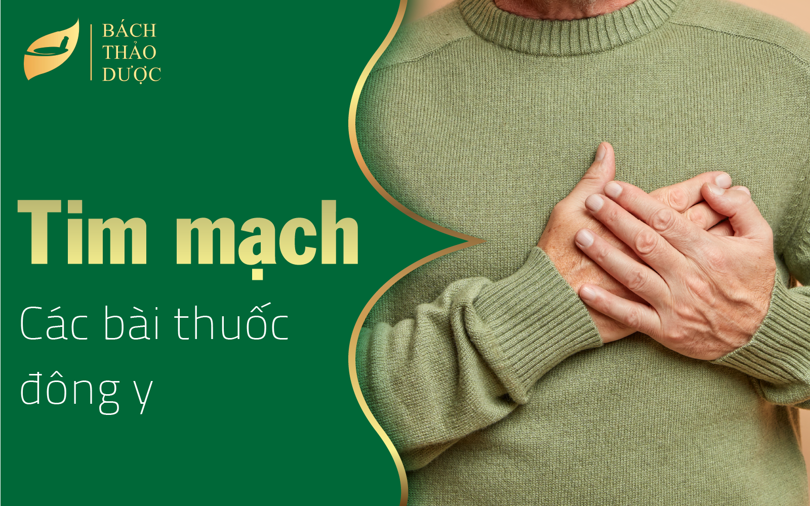 Các thuốc đông y trị tim mạch