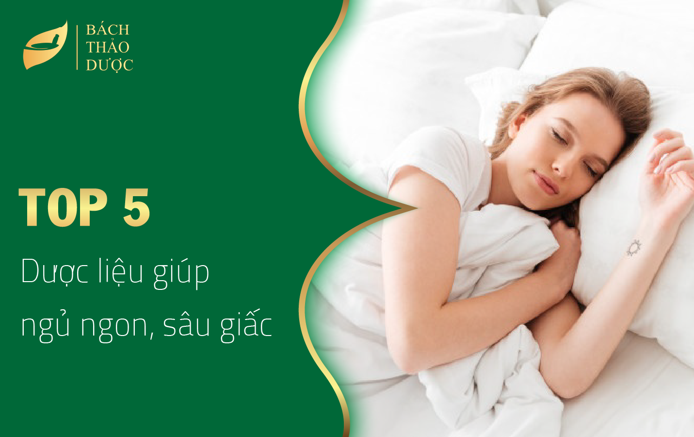 TOP 5 DƯỢC LIỆU THIÊN NHIÊN GIÚP NGỦ SÂU, NGỦ NGON GIẤC CHO NGƯỜI MẤT NGỦ KINH NIÊN