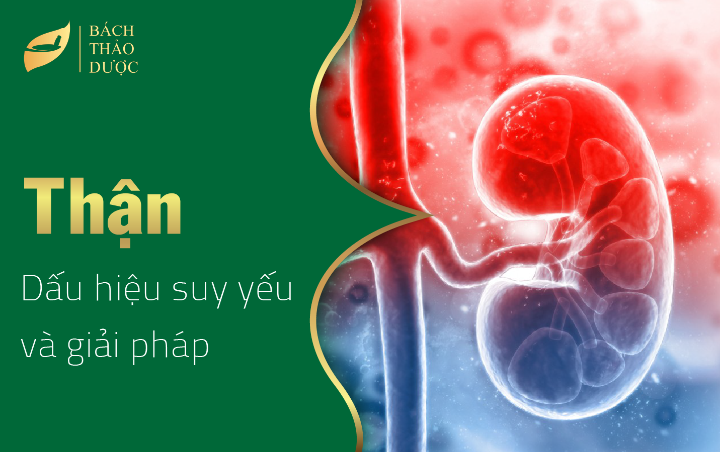 Những dấu hiệu cảnh báo thận đang 