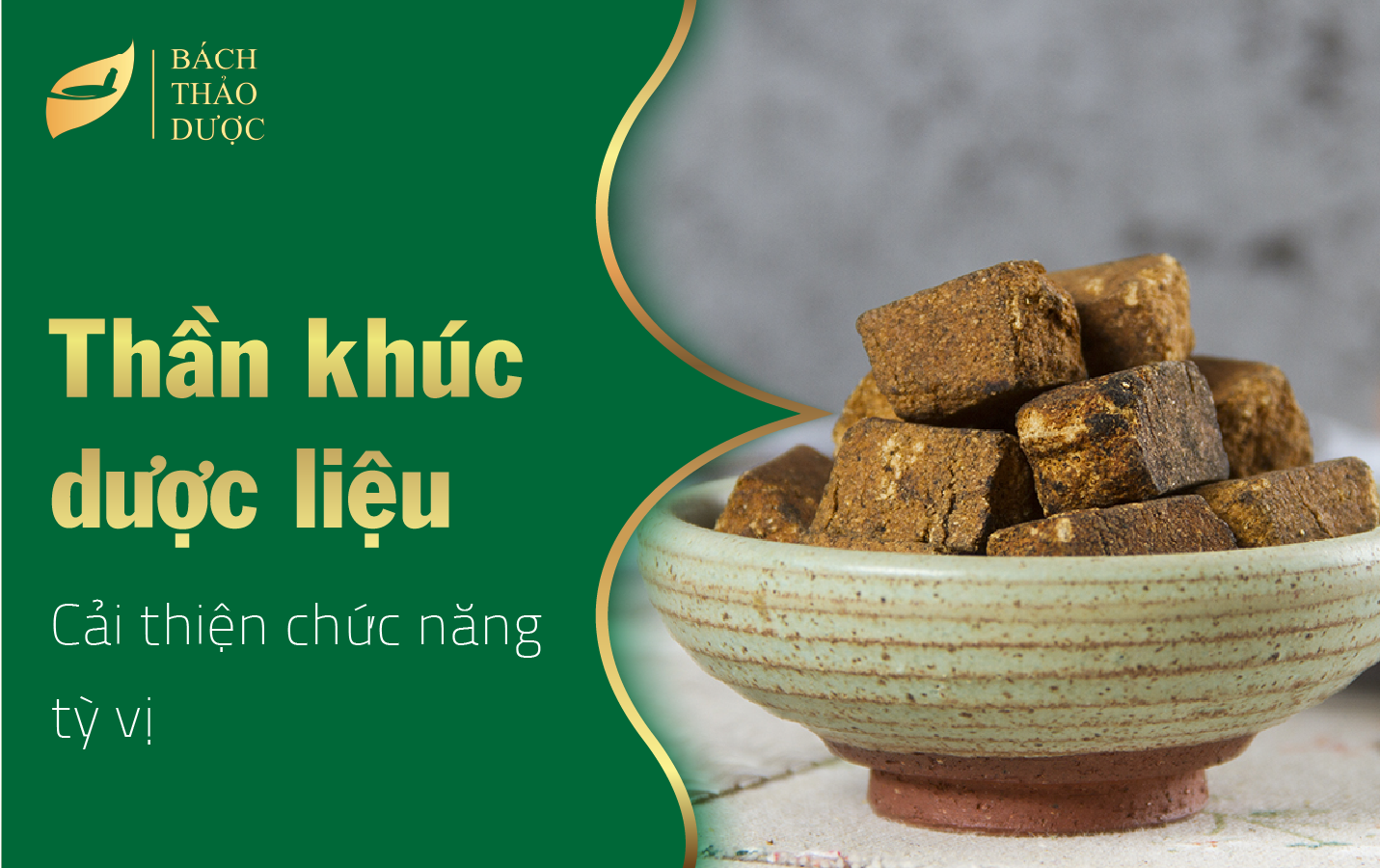 Thần khúc dược liệu - Cải thiện chức năng tỳ vị