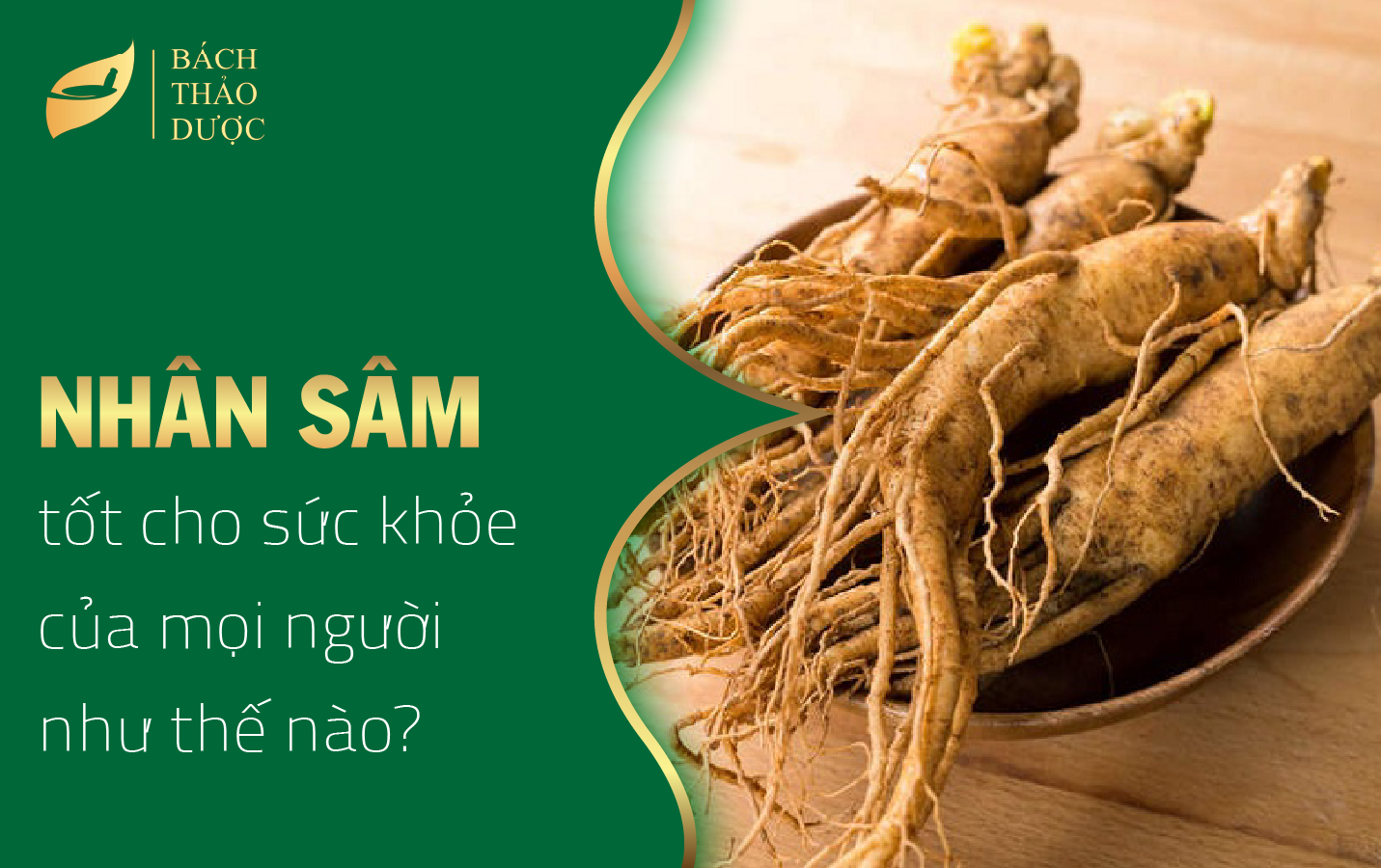 NHÂN SÂM TỐT CHO SỨC KHỎE NHƯ THẾ NÀO?