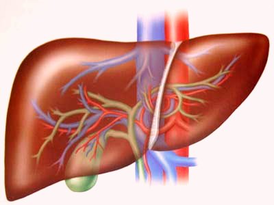 5 loại thực phẩm phổ biến giúp giải độc gan ngay tại nhà