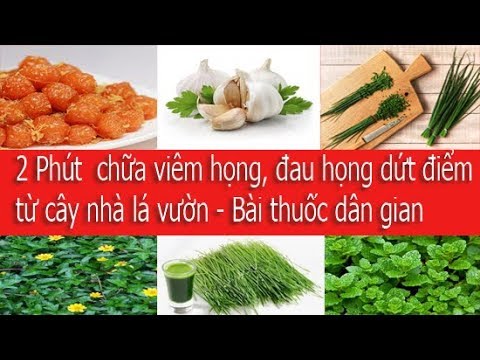 8 loại cây cỏ trong vườn nhà trị viêm họng bạn nên biết.